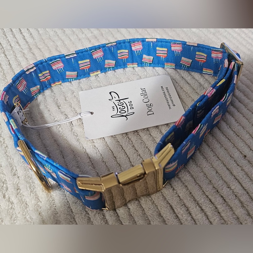 The Foggy Dog Blue Birthday Cake Dog Collar (M)